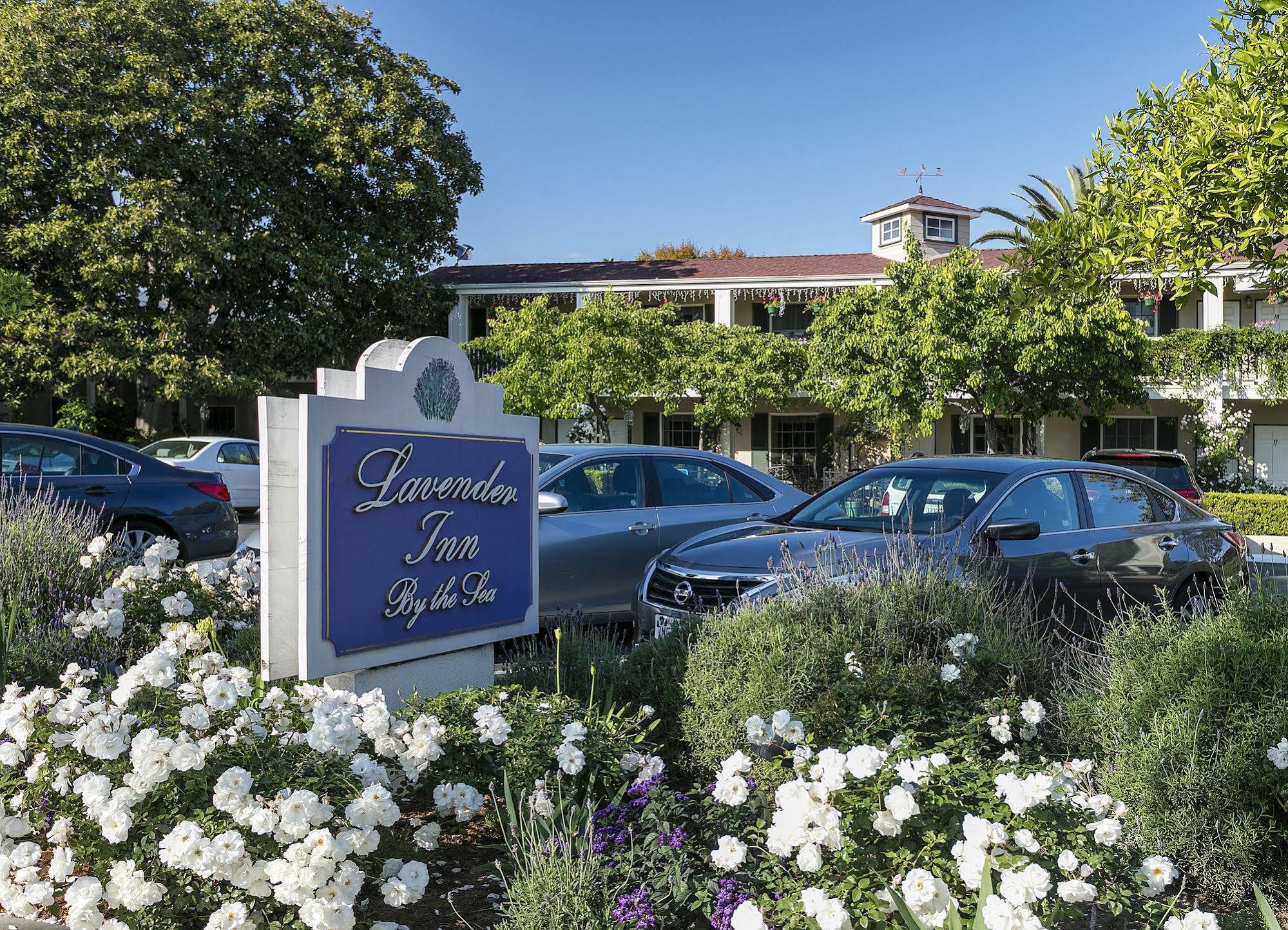 Lavender Inn By The Sea Santa Barbara Luaran gambar
